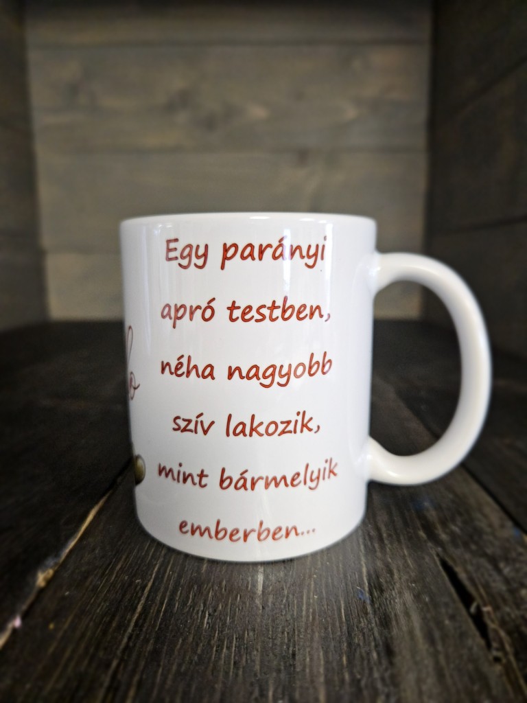 Cuki tacskó fiú mintás bögre 